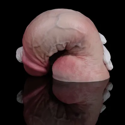 Justin 9.2 Inch Realistic Dildo | 3 Inch Girth Dual Density Sliding Skin Silicone Dildo